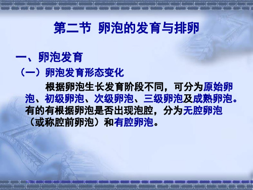 第二节卵泡的发育与排卵ppt课件