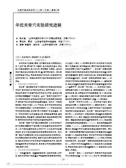 华佗夹脊穴实验研究进展