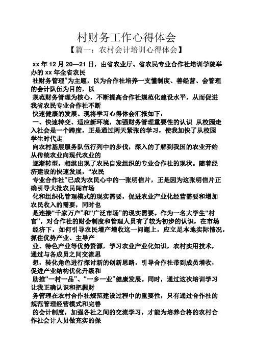 村财务工作心得体会