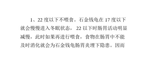 石金钱龟养殖宝典之——换水喂食篇