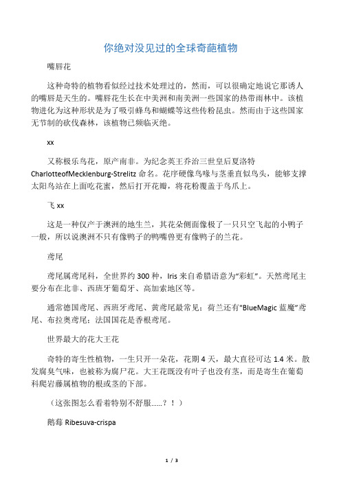 你绝对没见过的全球奇葩植物