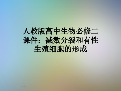 人教版高中生物必修二课件：减数分裂和有性生殖细胞的形成