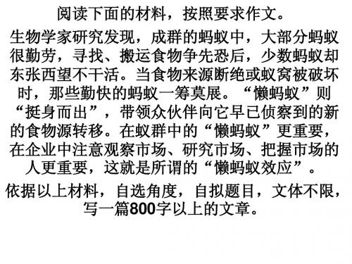懒蚂蚁作文