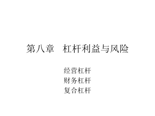 第八章 杠杆利益与风险