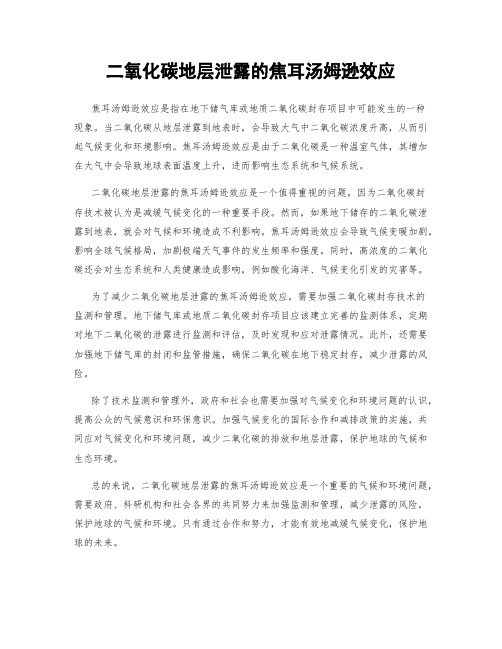 二氧化碳地层泄露的焦耳汤姆逊效应
