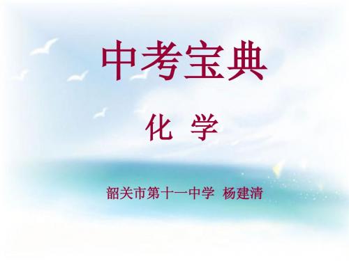 2013年化学中考复习宝典 第五部分  科学探究 第21课   生活中的科学探究