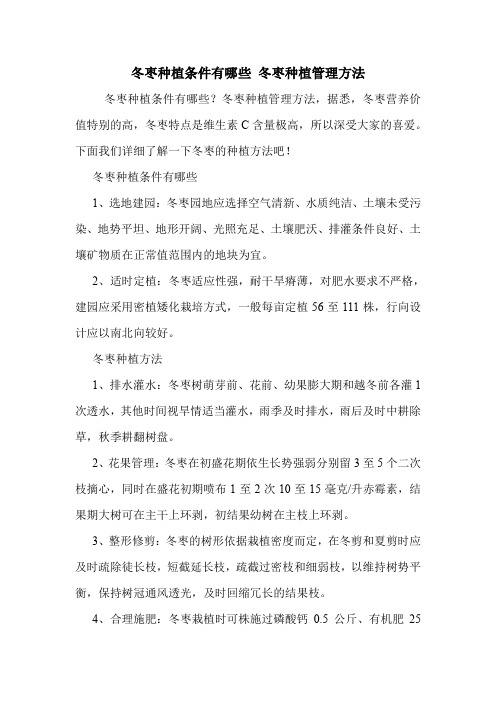 冬枣种植条件有哪些 冬枣种植管理方法.doc