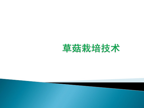 草菇栽培技术资料