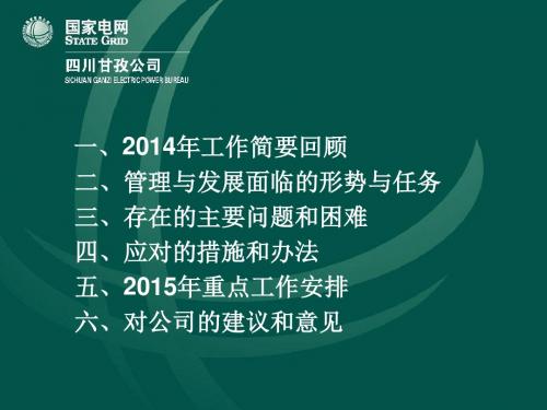 电网公司务虚会汇报材料