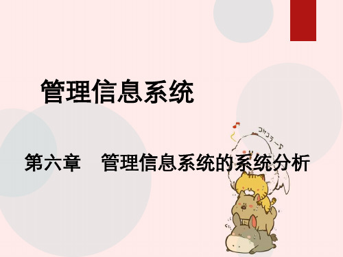 管理信息系统第六章