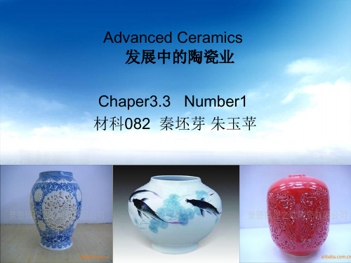 Advanced Ceramics