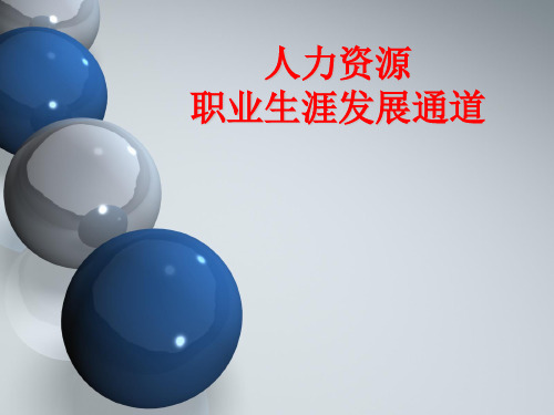 人力资源职业发展通道