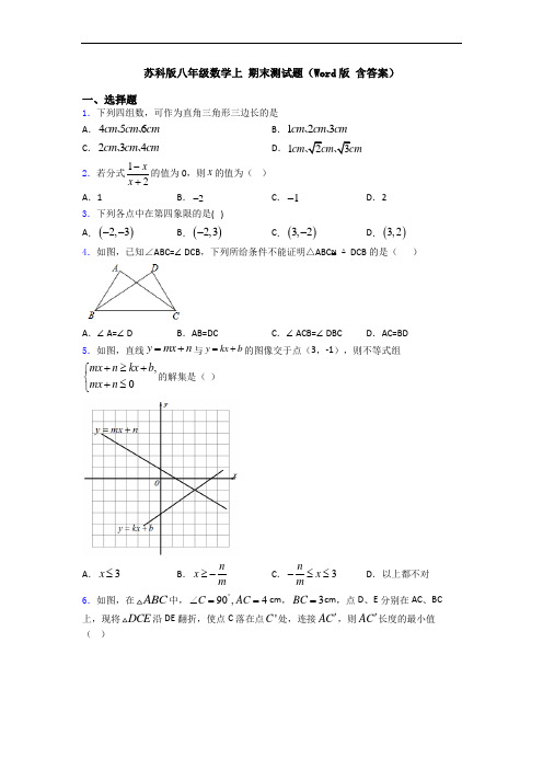 苏科版八年级数学上 期末测试题(Word版 含答案)