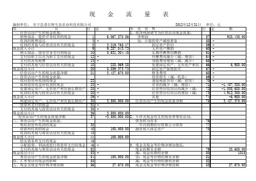 2012年12月现金流量表