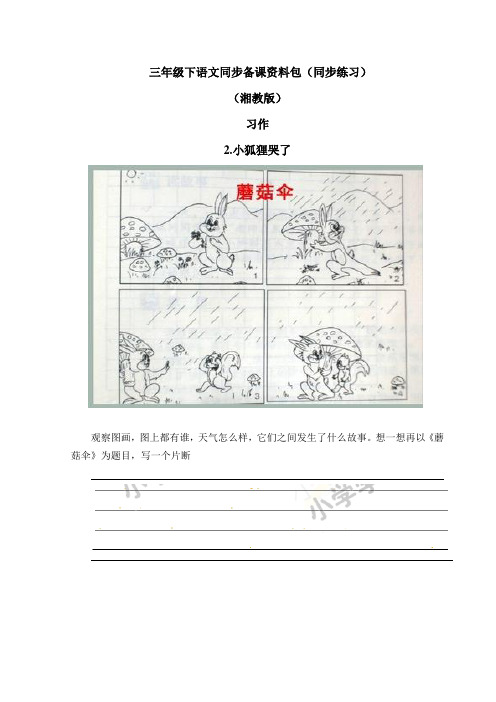 湘教版三年级下语文同步备课资料包(同步练习)-习作2.小狐狸哭了