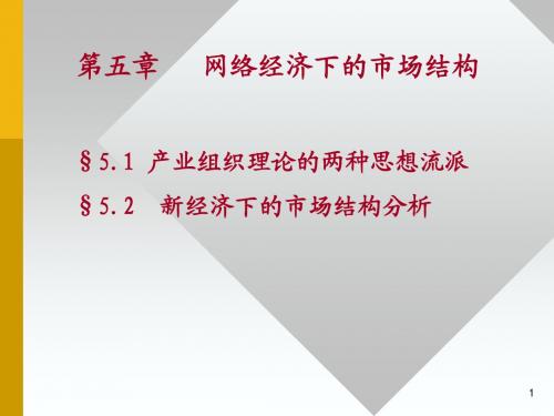 第5章-网络市场的运行与结构