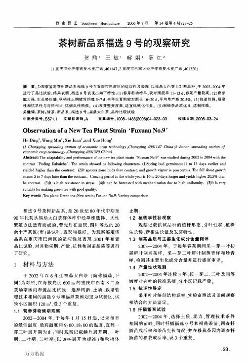 茶树新品系福选9号的观察研究
