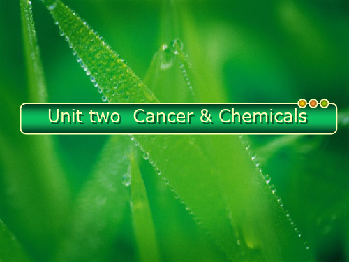研究生英语第二单元  Cancer & Chemicals课件