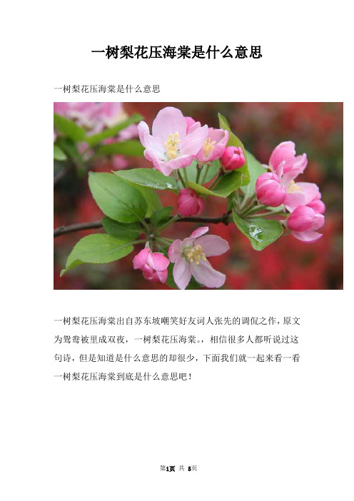 一树梨花压海棠是什么意思