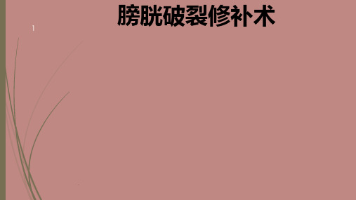 膀胱破裂修补术PPT课件