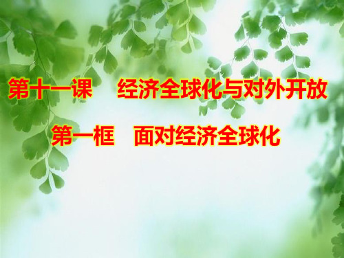 高中政治《经济生活》第十一课第一框 面对经济全球化