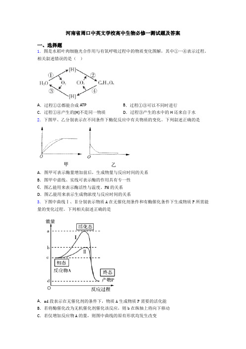 河南省周口中英文学校高中生物必修一测试题及答案