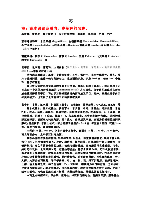 枣的学名及分类