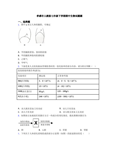 孝感市人教版七年级下学期期中生物试题题