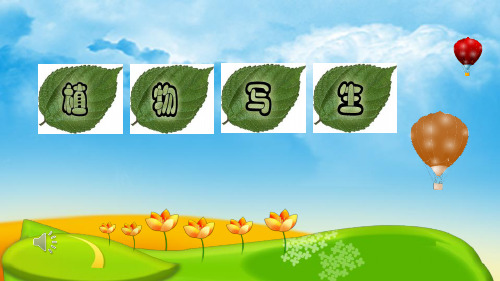 全国优质课一等奖人美版美术四年级下册《植物写生》课件