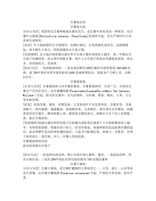 甘薯病虫害