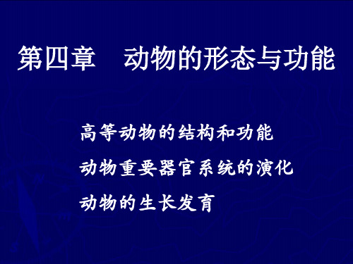动物的形态与功能(12)PPT