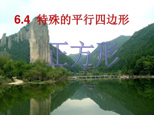 青岛版数学八下6.3《特殊的平行四边形》ppt课件