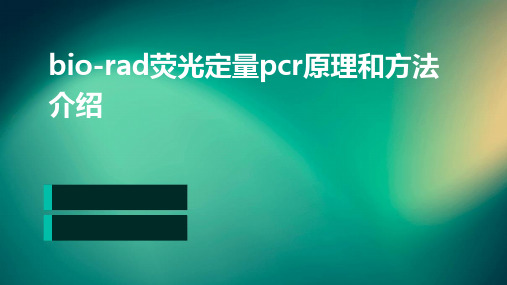 BIO-RAD荧光定量PCR原理和方法介绍