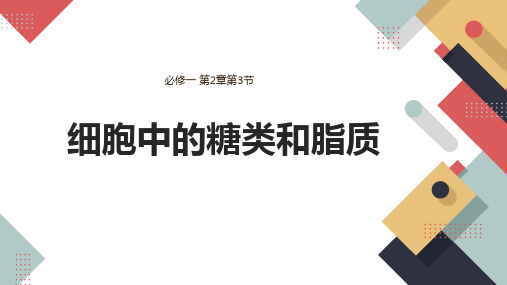2.3细胞中的糖类和脂质课件-高一生物人教版必修一