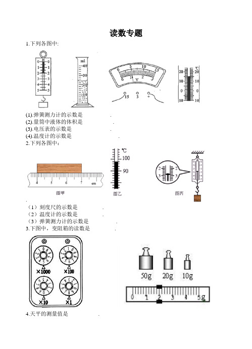 中考物理读数专题