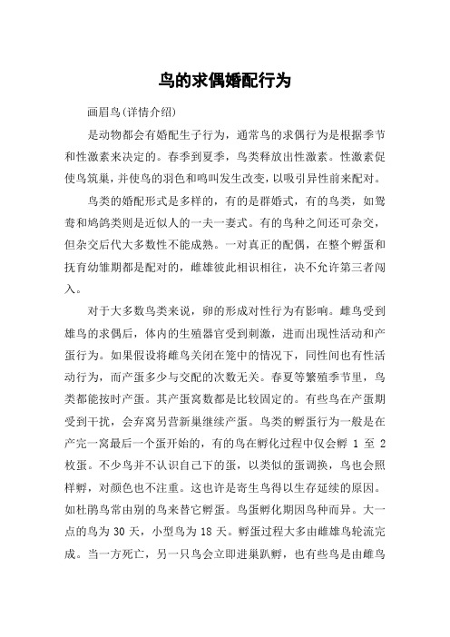 鸟的求偶婚配行为