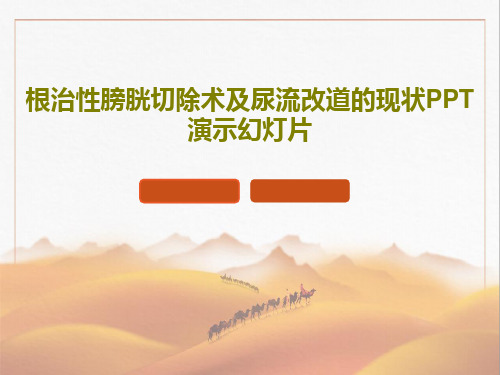 根治性膀胱切除术及尿流改道的现状PPT演示幻灯片共19页