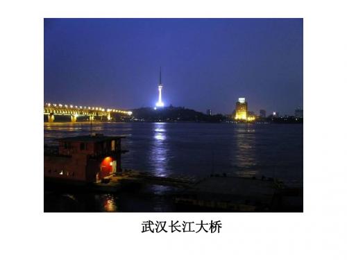 第二节___以河流为生命线的地区——长江沿江地带