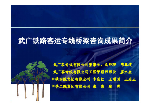 武广铁路客运专线桥梁咨询成果简介