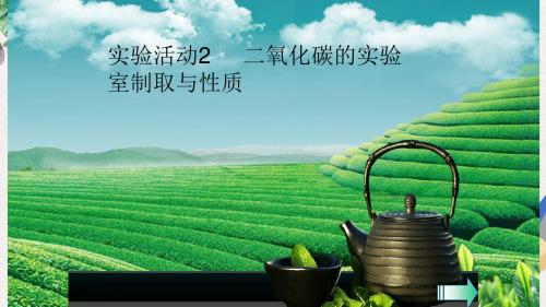 九年级化学上册第六单元碳和碳的氧化物实验活动2二氧化碳的实验室制取与性质课堂导学课件新版新人教版