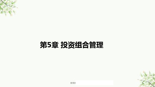 投资组合管理(2)课件