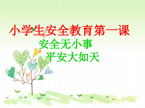 班会主题《安全教育第一课》部编版语文ppt课件