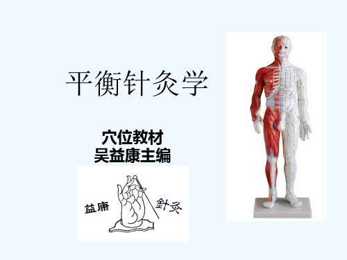 平衡针灸初学者教案及常用穴位图