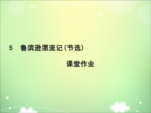 2020年春期新人教部编版六年级下册语文练习课件-5 鲁滨逊漂流记(节选)课堂作业