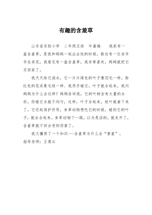 小学二年级作文：有趣的含羞草1