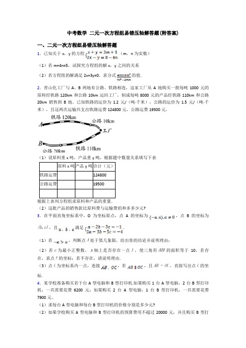 中考数学 二元一次方程组易错压轴解答题(附答案)