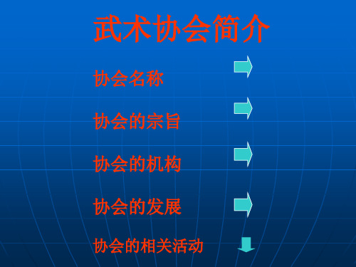 武术协会ppt