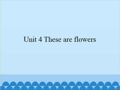 小学英语湘少版四年级上册Unit 4 These are flowers