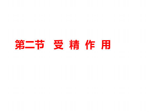 高中生物必修二《2.1.2受精作用》课件
