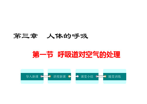 《人教版.精品课件.九年级下.生物》  第三章  人体的呼吸